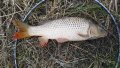 IMG_20200819_101654.jpg