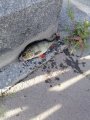 IMG_20200906_094140.jpg