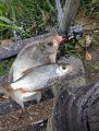 IMG_20200905_072907.jpg