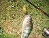 IMG_5473.jpg