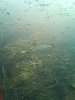DSC00364.jpg