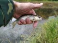 IMG_20200919_131523.jpg