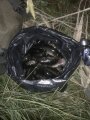 IMG_20200921_184534.jpg