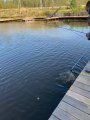 IMG-20200923-WA0045.jpg