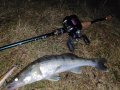 IMG_20200722_223139.jpg