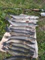 IMG_20200924_145025.jpg