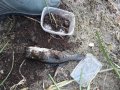 20200926_150552.jpg