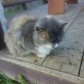 IMG_20200928_123424_351.jpg