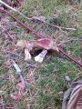 20200930_074715.jpg