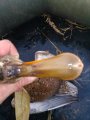 IMG_20200930_163321.jpg