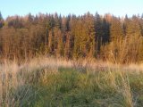 DSCN0020.JPG