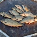 IMG-20201002-WA0018.jpg
