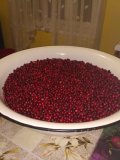 IMG_20200926_201100.jpg