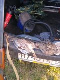 IMG_20201002_145702.jpg