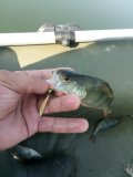 IMG-20201003-112052.jpg