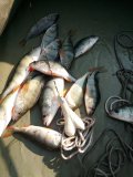 IMG-20201003-120621.jpg