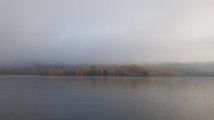 20201003_085428.jpg