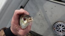 DSC03652.JPG
