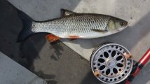 DSC03645.JPG