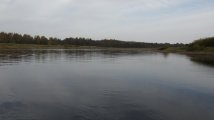 DSC03643.JPG