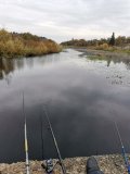 IMG_20201007_102524.jpg