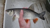 DSC03697.JPG