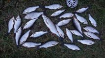 DSC03707.JPG