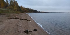IMG_20201010_122721.jpg