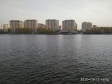 IMG_20201011_160652.jpg