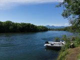IMG_20200729_142858.jpg