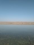 IMG_20201017_131336.jpg
