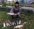 IMG_20201022_140114.jpg