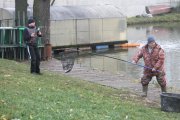 IMG_5448.JPG