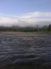 DSC00508.jpg