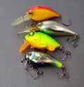 20201030_072604.jpg
