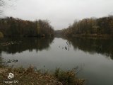 IMG_20201031_124502.jpg