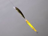 IMG_20201104_131311874.jpg