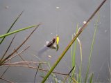 IMG_20201104_130817470.jpg