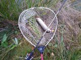 IMG_20201104_130548688.jpg