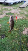 IMG-20201104-WA0007.jpeg