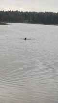 IMG-20201104-WA0000.jpeg