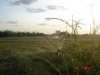 DSC00237.jpg