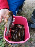 IMG_20201104_143142.jpg