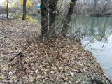 IMG_20201105_090925.jpg