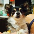 IMG_20201107_202335.jpg