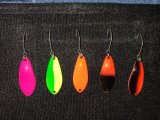 IMG_20201108_162309.jpg