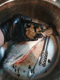 IMG_20201108_180154.jpg