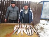 IMG_0022.JPG