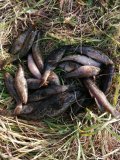 IMG-20201107-WA0019.jpg