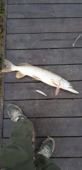 20201108_080116.jpg
